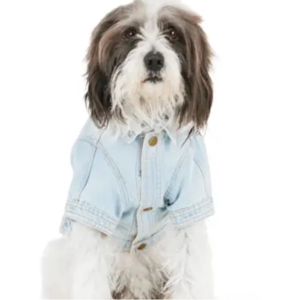 YOULY Rainbow Denim Dog Pride Jacket M